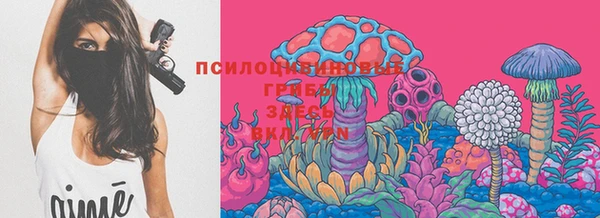 эйфоретик Армянск