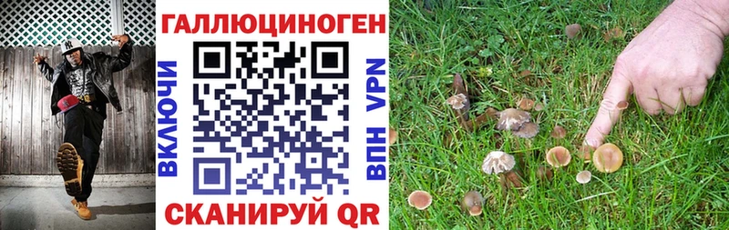 хочу наркоту  Ноябрьск  Галлюциногенные грибы MAGIC MUSHROOMS 
